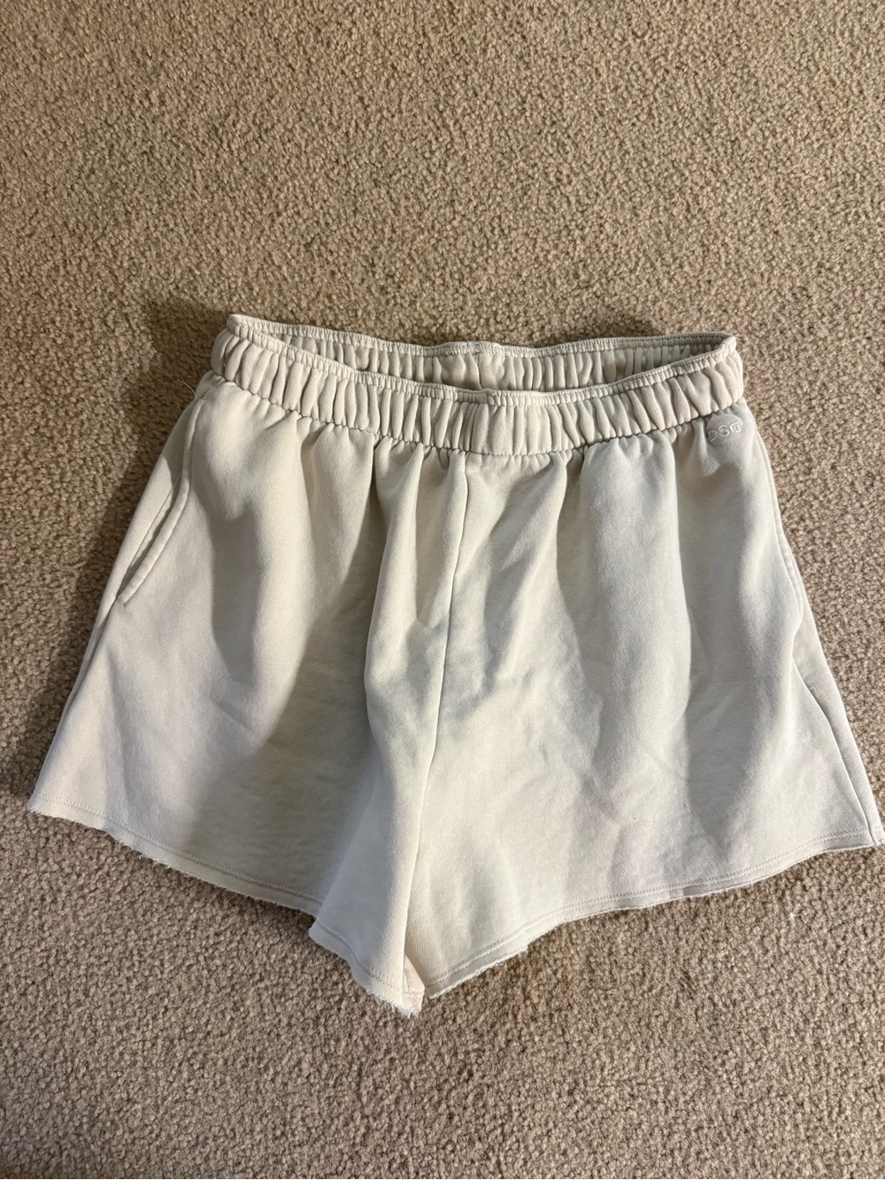 DSW sweat shorts